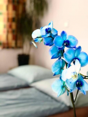  Apartmány Family Krumlov  Чешский Крумлов